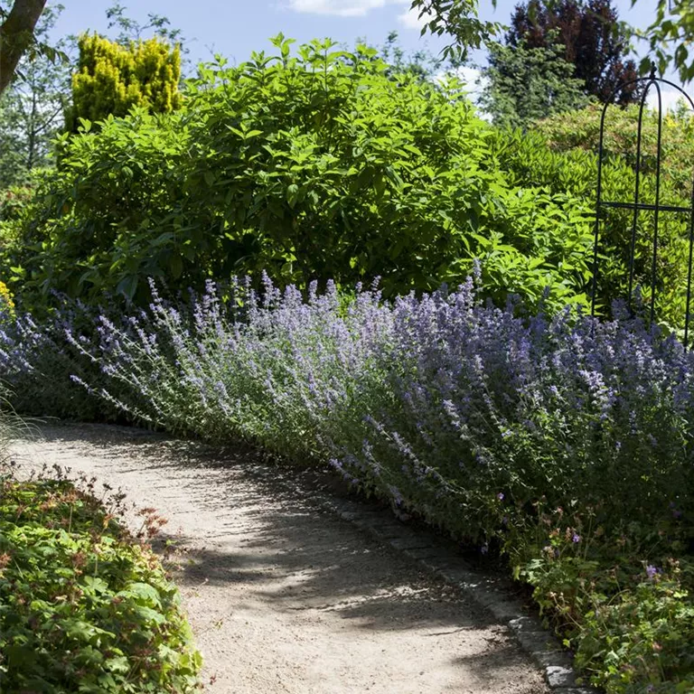 Sie sind bewegend! Wege, die durch den Garten führen.