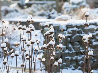 geänderte Öffnungszeiten