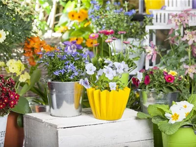 Einladung zum Frühlingsmarkt