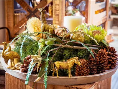 Teilnahmebedingungen für unser Gewinnspiel zum Adventskalender