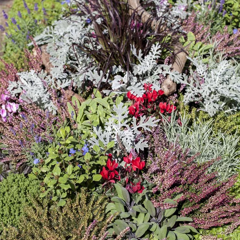 Die Grabpflege im Herbst